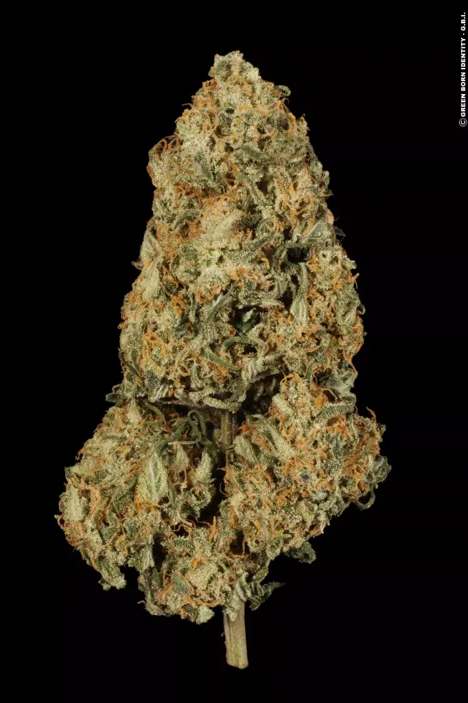 AtomicalHash