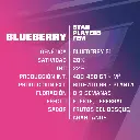 Blueberry Farm