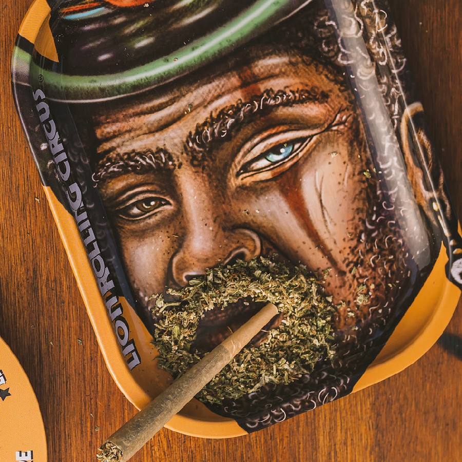 Bandeja Metálica Pequeña, Lion Rolling Circus