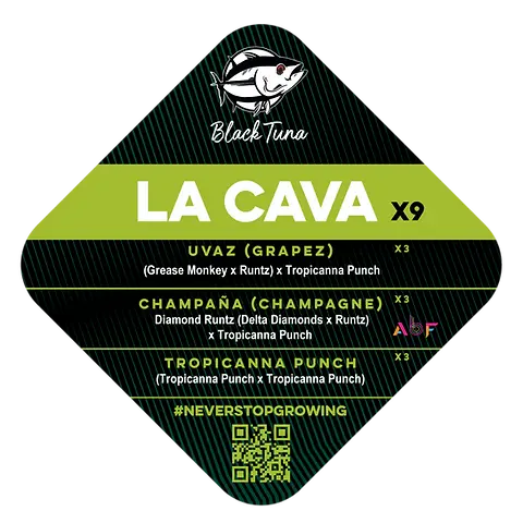 La Cava