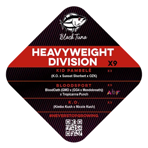 Heavyweight Division
