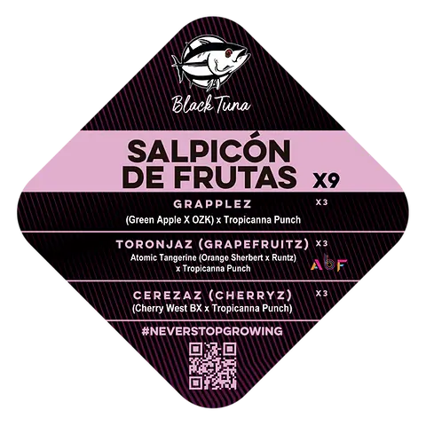 Salpicón de Frutas