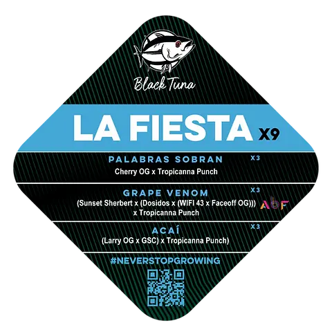 La Fiesta