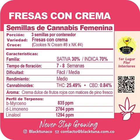 Fresas con Crema