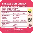 Fresas con Crema