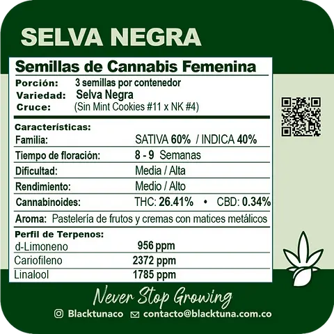 Selva Negra