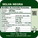 Selva Negra