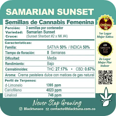 Samarian Sunset