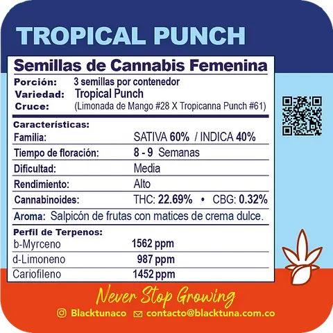 Tropical Punch