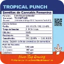 Tropical Punch