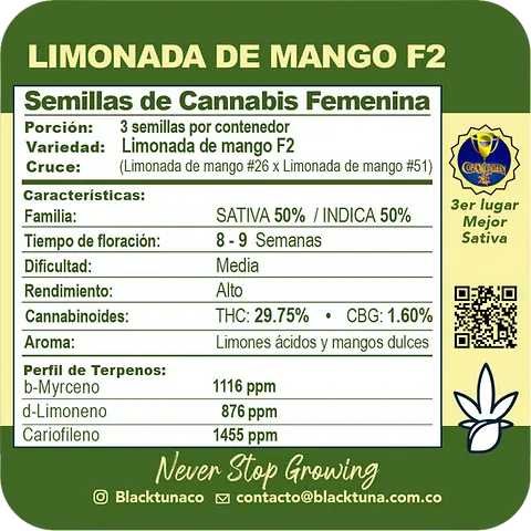 Limonada de Mango