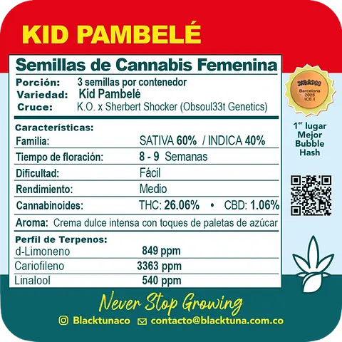 Kid Pambelé