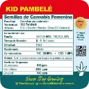 Kid Pambelé