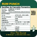 Pum Punch