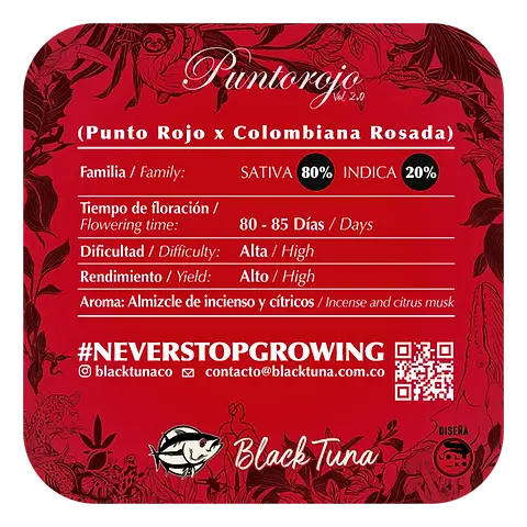 Punto Rojo