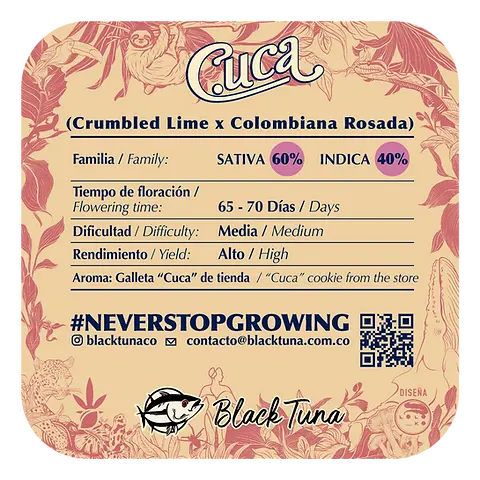 Cuca