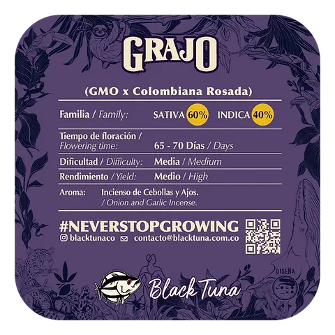 Grajo