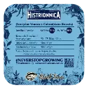 Histrionnica