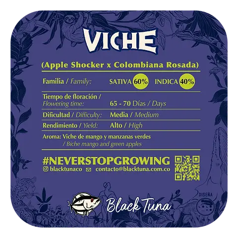 Viche