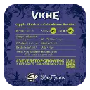 Viche