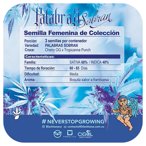 Palabras Sobran