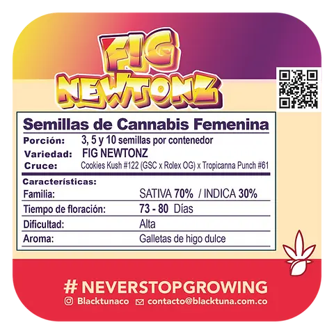 Fig Newtonz