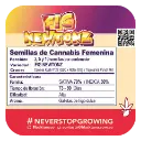 Fig Newtonz