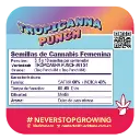 Tropicanna Punch