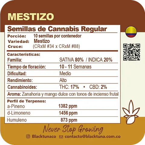 Mestizo