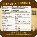 Citrus X Limonia