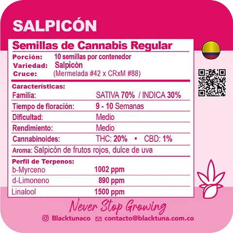 Salpicón