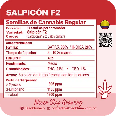 Salpicón F2