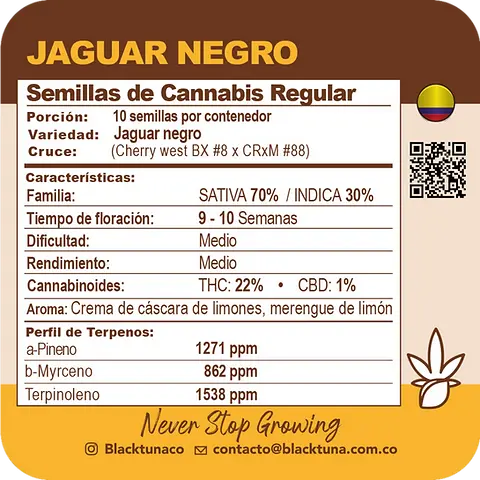 Jaguar Negro