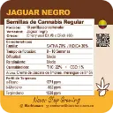 Jaguar Negro