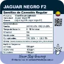 Jaguar Negro F2