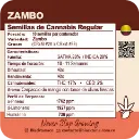 Zambo