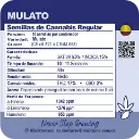 Mulato