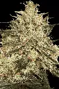 AtomicalHash