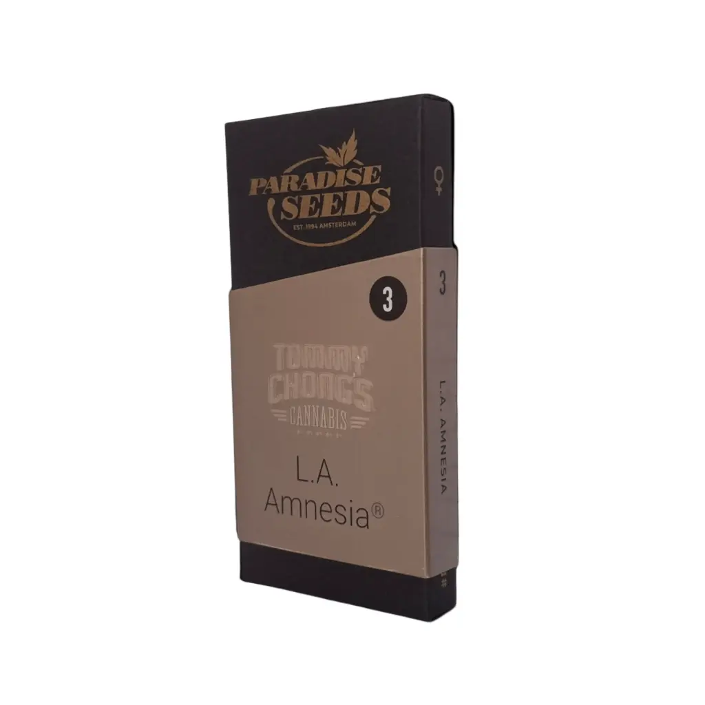 Semillas L.A. Amnesia x3 (Tommy Chong)