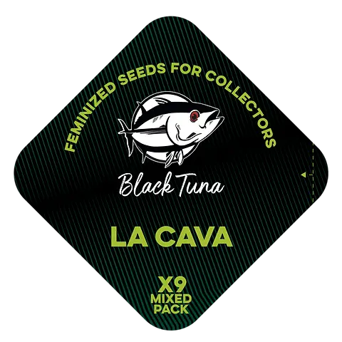 La Cava: Uvaz, Champaña y Tropicanna Punch