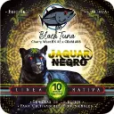 Jaguar Negro