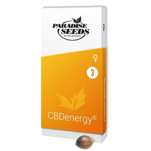 Semilla Paradise CBD x3