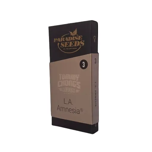 [LA-AMNESIA] Semillas L.A. Amnesia x3 (Tommy Chong)