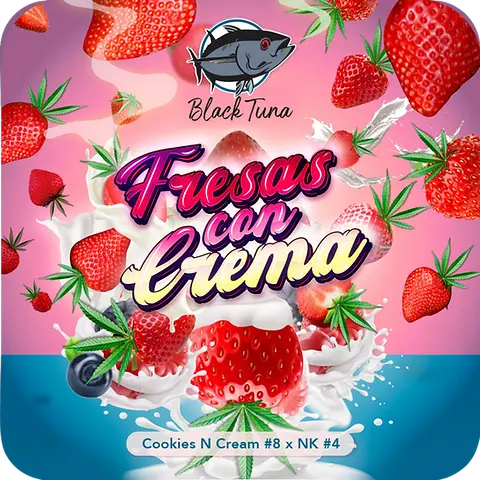 Fresas con Crema