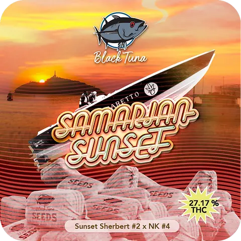 Samarian Sunset