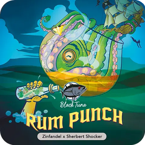 Rum Punch