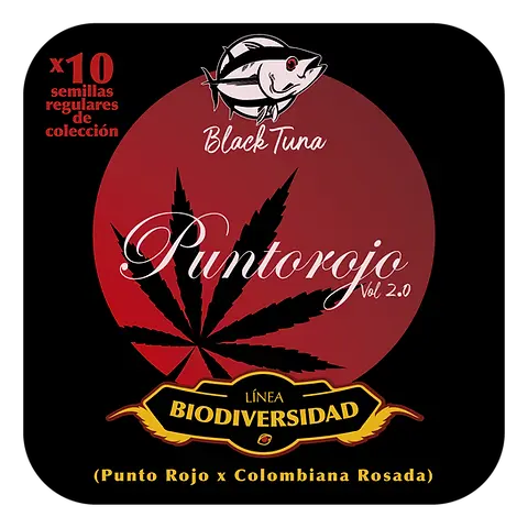 Punto Rojo