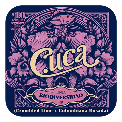 Cuca