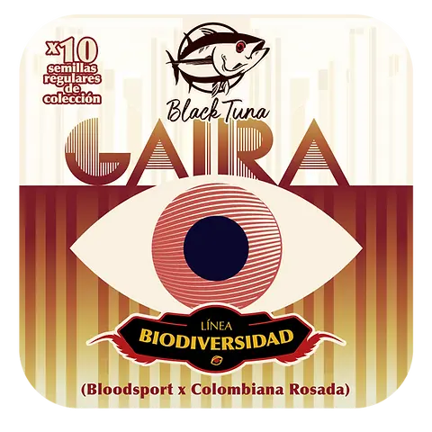 Gaira