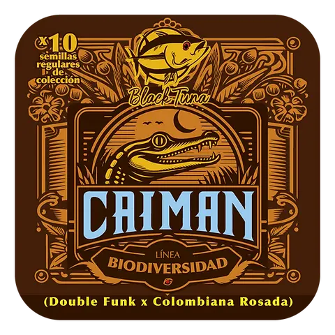 Caimán 